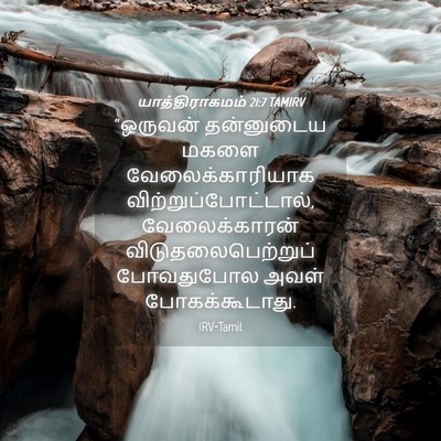 Picture 04 - யாத்திராகமம் 21:7 TAMIRV - “ஒருவன் தன்னுடைய - Bible Verse Picture