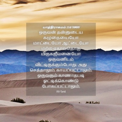 Picture 04 - யாத்திராகமம் 22:10 TAMIRV - ஒருவன் தன்னுடைய - Bible Verse Picture
