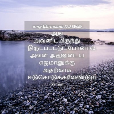 Picture 04 - யாத்திராகமம் 22:12 TAMIRV - அது அவனிடமிருந்து - Bible Verse Picture