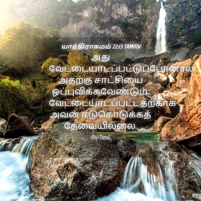 Picture 04 - யாத்திராகமம் 22:13 TAMIRV - அது - Bible Verse Picture