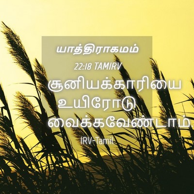 Picture 04 - யாத்திராகமம் 22:18 TAMIRV - சூனியக்காரியை - Bible Verse Picture