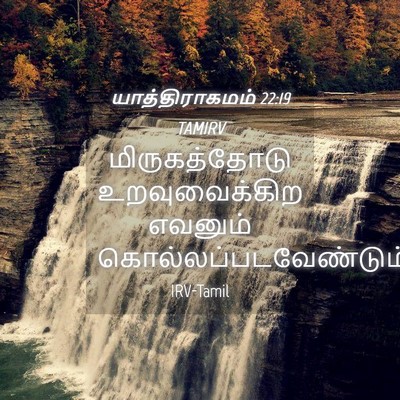 Picture 04 - யாத்திராகமம் 22:19 TAMIRV - மிருகத்தோடு - Bible Verse Picture