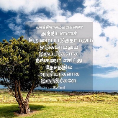 Picture 04 - யாத்திராகமம் 22:21 TAMIRV - அந்நியனைச் - Bible Verse Picture