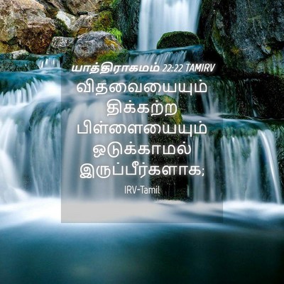 Picture 04 - யாத்திராகமம் 22:22 TAMIRV - விதவையையும் - Bible Verse Picture