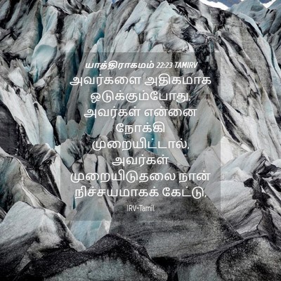 Picture 04 - யாத்திராகமம் 22:23 TAMIRV - அவர்களை அதிகமாக - Bible Verse Picture