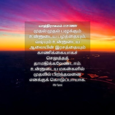 Picture 04 - யாத்திராகமம் 22:29 TAMIRV - முதல் முதல் - Bible Verse Picture