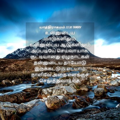 Picture 04 - யாத்திராகமம் 22:30 TAMIRV - உன்னுடைய - Bible Verse Picture