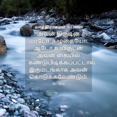 Picture 04 - யாத்திராகமம் 22:4 TAMIRV - அவன் திருடின மாடோ, - Bible Verse Picture