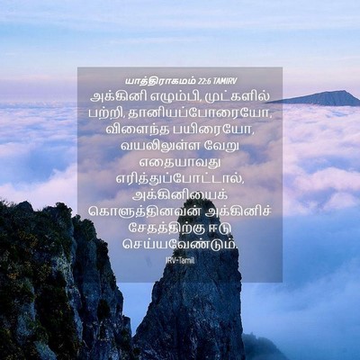 Picture 04 - யாத்திராகமம் 22:6 TAMIRV - அக்கினி எழும்பி, - Bible Verse Picture