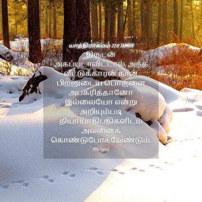 Picture 04 - யாத்திராகமம் 22:8 TAMIRV - திருடன் - Bible Verse Picture
