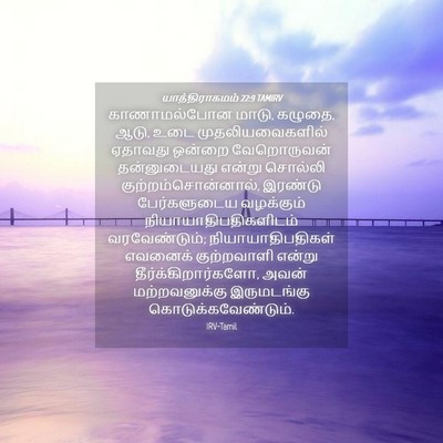 Picture 04 - யாத்திராகமம் 22:9 TAMIRV - காணாமல்போன மாடு, - Bible Verse Picture