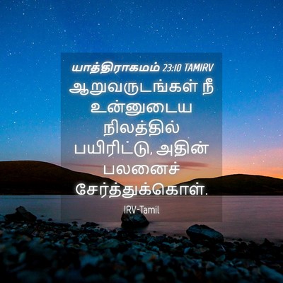 Picture 04 - யாத்திராகமம் 23:10 TAMIRV - ஆறுவருடங்கள் நீ - Bible Verse Picture