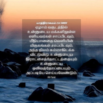 Picture 04 - யாத்திராகமம் 23:11 TAMIRV - ஏழாம் வருடத்தில் - Bible Verse Picture