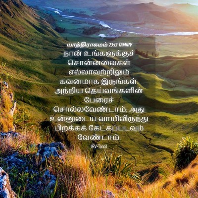 Picture 04 - யாத்திராகமம் 23:13 TAMIRV - நான் உங்களுக்குச் - Bible Verse Picture
