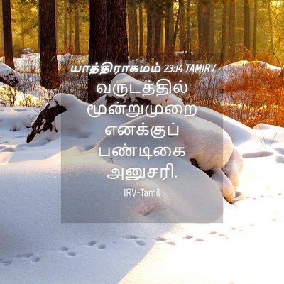 Picture 04 - யாத்திராகமம் 23:14 TAMIRV - வருடத்தில் - Bible Verse Picture
