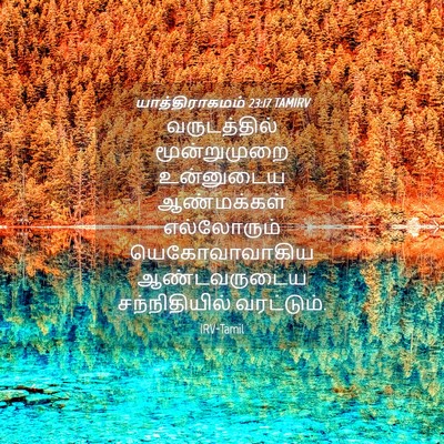 Picture 04 - யாத்திராகமம் 23:17 TAMIRV - வருடத்தில் - Bible Verse Picture