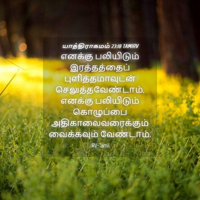 Picture 04 - யாத்திராகமம் 23:18 TAMIRV - எனக்கு பலியிடும் - Bible Verse Picture