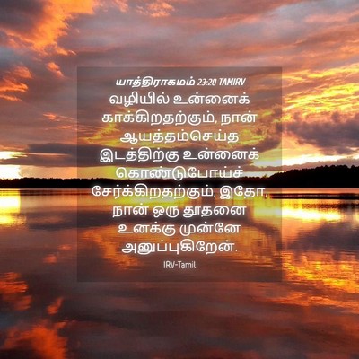 Picture 04 - யாத்திராகமம் 23:20 TAMIRV - வழியில் உன்னைக் - Bible Verse Picture