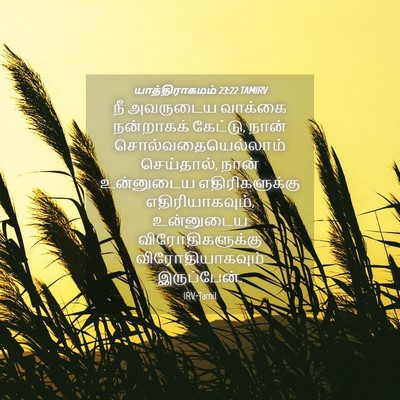 Picture 04 - யாத்திராகமம் 23:22 TAMIRV - நீ அவருடைய வாக்கை - Bible Verse Picture