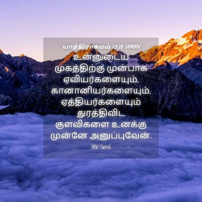 Picture 04 - யாத்திராகமம் 23:28 TAMIRV - உன்னுடைய - Bible Verse Picture