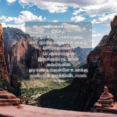 Picture 04 - யாத்திராகமம் 23:29 TAMIRV - தேசம் - Bible Verse Picture