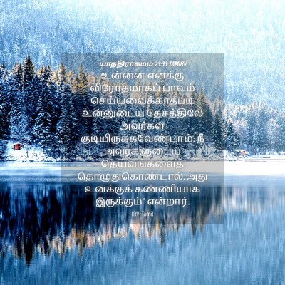 Picture 04 - யாத்திராகமம் 23:33 TAMIRV - உன்னை எனக்கு - Bible Verse Picture
