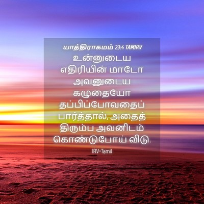 Picture 04 - யாத்திராகமம் 23:4 TAMIRV - உன்னுடைய - Bible Verse Picture