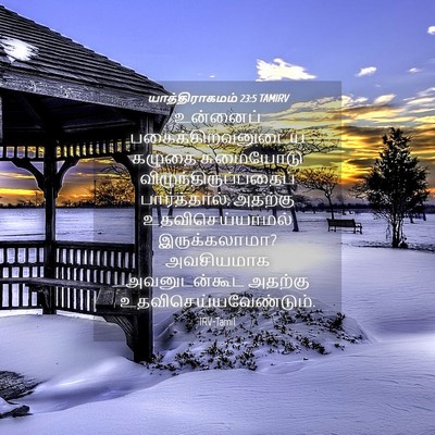 Picture 04 - யாத்திராகமம் 23:5 TAMIRV - உன்னைப் - Bible Verse Picture