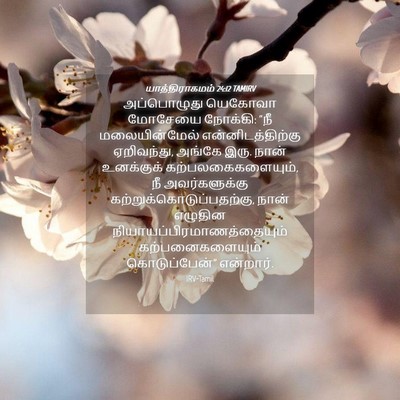 Picture 04 - யாத்திராகமம் 24:12 TAMIRV - அப்பொழுது யெகோவா - Bible Verse Picture