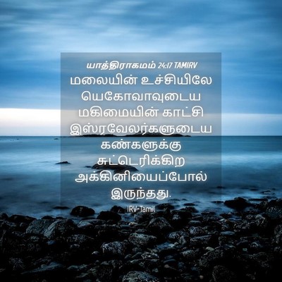 Picture 04 - யாத்திராகமம் 24:17 TAMIRV - மலையின் உச்சியிலே - Bible Verse Picture