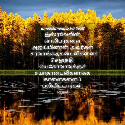 Picture 04 - யாத்திராகமம் 24:5 TAMIRV - இஸ்ரவேலின் - Bible Verse Picture