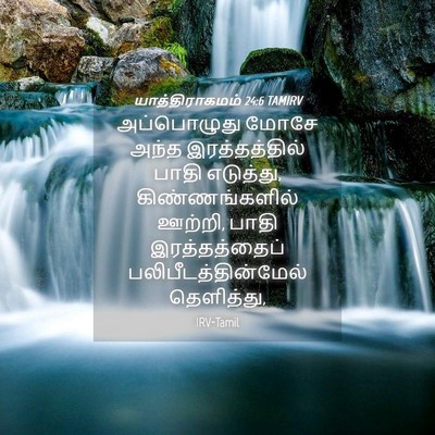 Picture 04 - யாத்திராகமம் 24:6 TAMIRV - அப்பொழுது மோசே - Bible Verse Picture