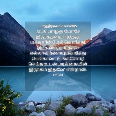 Picture 04 - யாத்திராகமம் 24:8 TAMIRV - அப்பொழுது மோசே - Bible Verse Picture