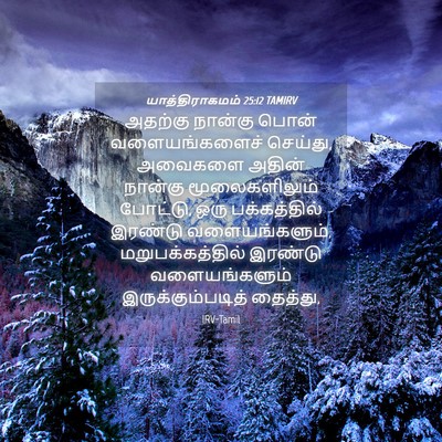 Picture 04 - யாத்திராகமம் 25:12 TAMIRV - அதற்கு நான்கு - Bible Verse Picture