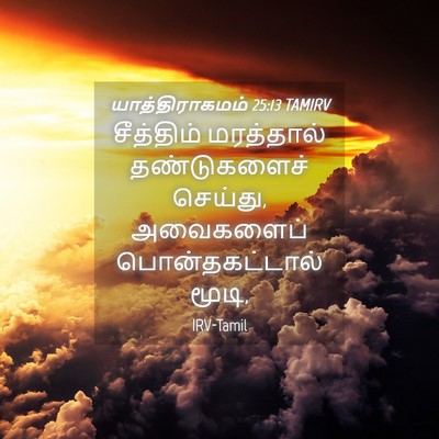 Picture 04 - யாத்திராகமம் 25:13 TAMIRV - சீத்திம் மரத்தால் - Bible Verse Picture