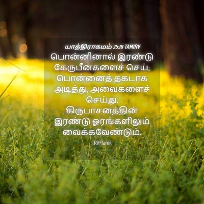 Picture 04 - யாத்திராகமம் 25:18 TAMIRV - பொன்னினால் இரண்டு - Bible Verse Picture