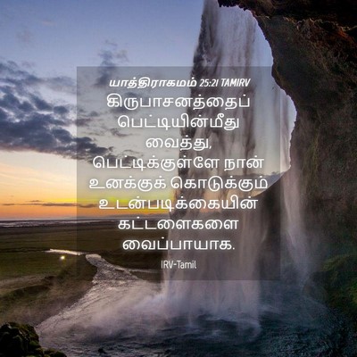 Picture 04 - யாத்திராகமம் 25:21 TAMIRV - கிருபாசனத்தைப் - Bible Verse Picture
