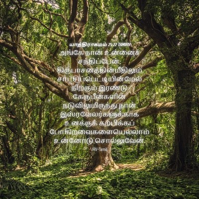 Picture 04 - யாத்திராகமம் 25:22 TAMIRV - அங்கே நான் - Bible Verse Picture