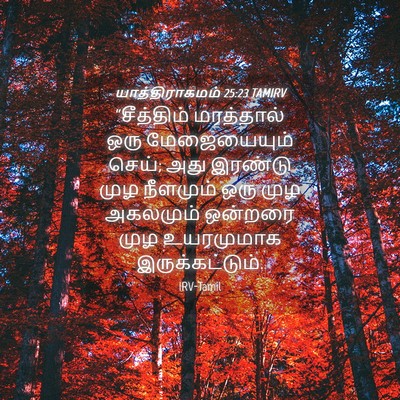 Picture 04 - யாத்திராகமம் 25:23 TAMIRV - “சீத்திம் - Bible Verse Picture