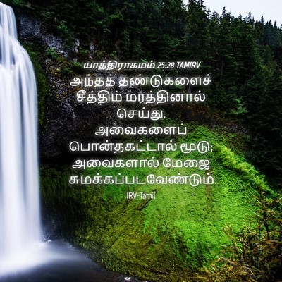Picture 04 - யாத்திராகமம் 25:28 TAMIRV - அந்தத் தண்டுகளைச் - Bible Verse Picture