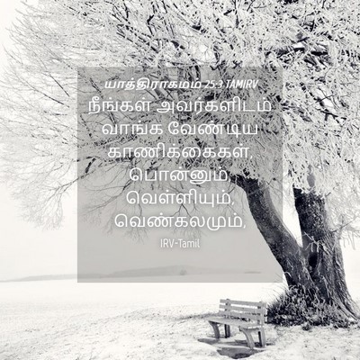 Picture 04 - யாத்திராகமம் 25:3 TAMIRV - நீங்கள் - Bible Verse Picture