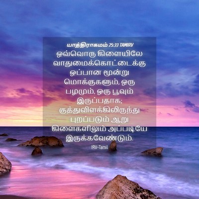 Picture 04 - யாத்திராகமம் 25:33 TAMIRV - ஒவ்வொரு கிளையிலே - Bible Verse Picture
