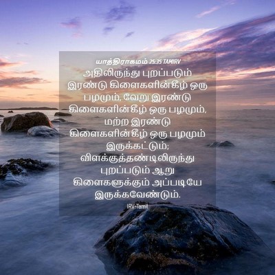 Picture 04 - யாத்திராகமம் 25:35 TAMIRV - அதிலிருந்து - Bible Verse Picture