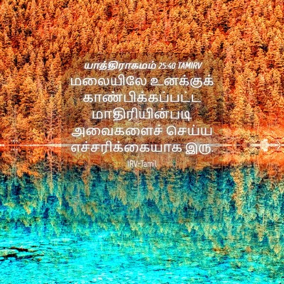 Picture 04 - யாத்திராகமம் 25:40 TAMIRV - மலையிலே உனக்குக் - Bible Verse Picture