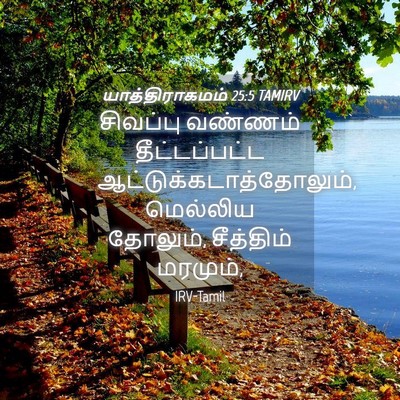 Picture 04 - யாத்திராகமம் 25:5 TAMIRV - சிவப்பு வண்ணம் - Bible Verse Picture