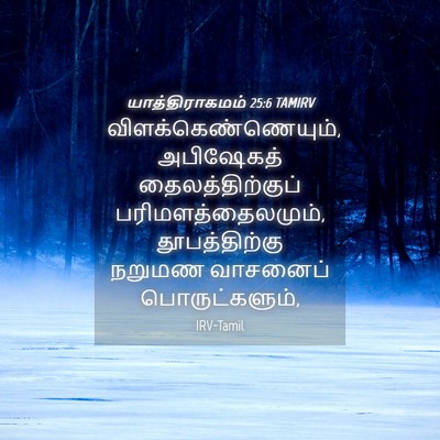 Picture 04 - யாத்திராகமம் 25:6 TAMIRV - விளக்கெண்ணெயும், - Bible Verse Picture