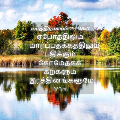 Picture 04 - யாத்திராகமம் 25:7 TAMIRV - ஏபோத்திலும் - Bible Verse Picture