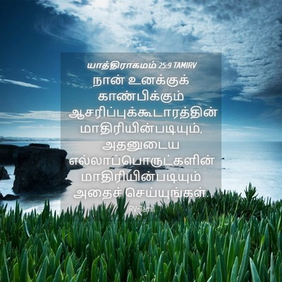 Picture 04 - யாத்திராகமம் 25:9 TAMIRV - நான் உனக்குக் - Bible Verse Picture