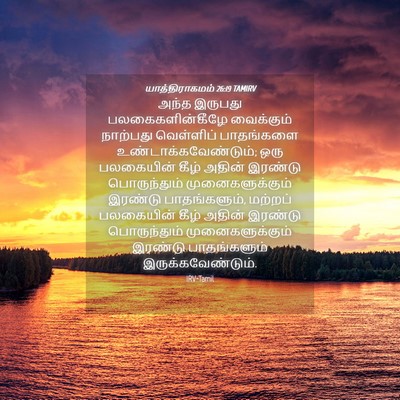 Picture 04 - யாத்திராகமம் 26:19 TAMIRV - அந்த இருபது - Bible Verse Picture