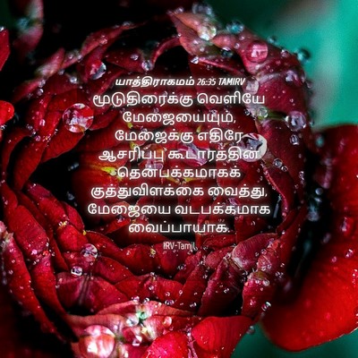 Picture 04 - யாத்திராகமம் 26:35 TAMIRV - மூடுதிரைக்கு - Bible Verse Picture
